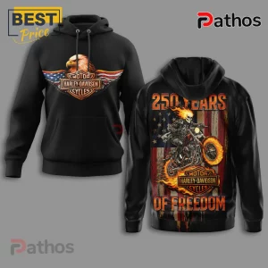 Black hoodie, front patriotic eagle Harley-Davidson logo, back flaming skull rider on distressed US flag, text 