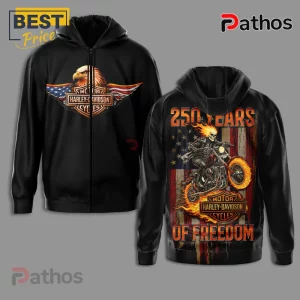 Black hoodie, vintage American eagle & Harley-Davidson logo front. Back: flaming skull biker, distressed US flag, 